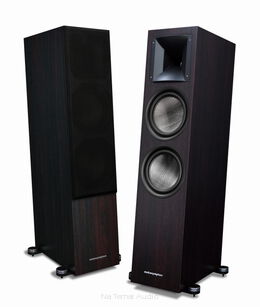 Audiosymptom i8 carbon walnut